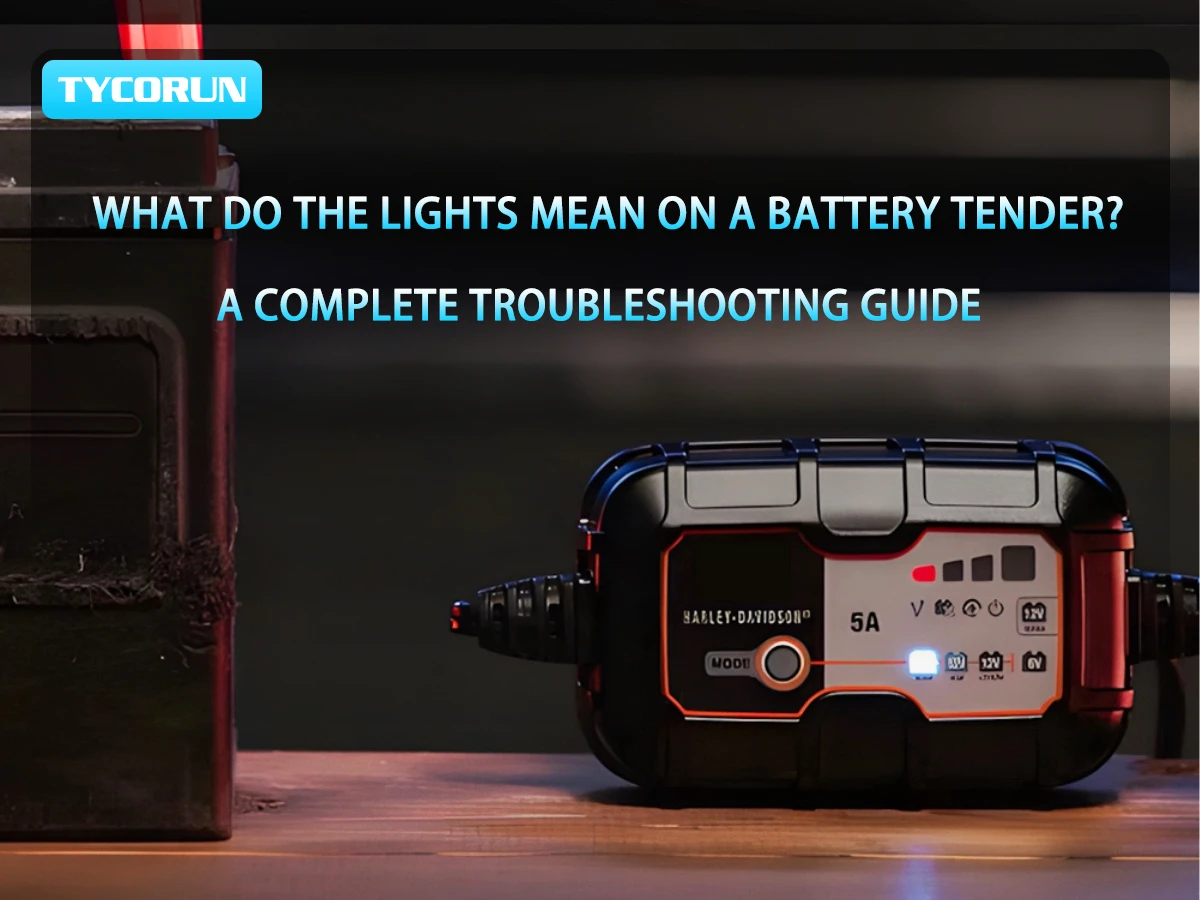 What Is A Battery Module And How Many Cells Does It Have? - TYCORUN Energy